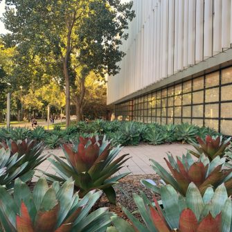 Exterior of Chemical Sciences Building at Kensington campus