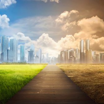 Landscape of timber pathway with the changing environment in the modern city