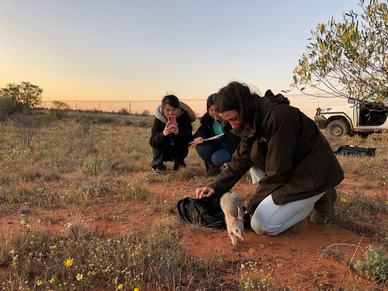 Students Releasing Bilby - Wild Deserts