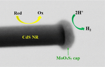 Light-Induced Formation of MoOxSy Clusters on CdS Nanorods as Cocatalyst for Enhanced Hydrogen Evolution